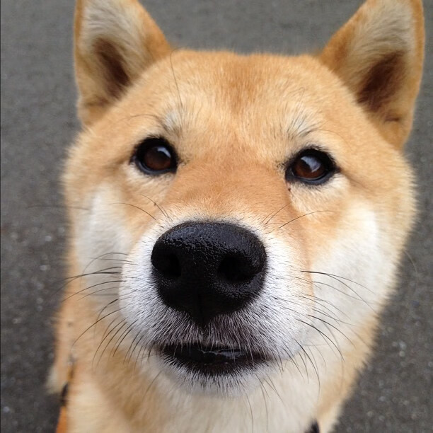 选手该项目体能分配策略科学合理